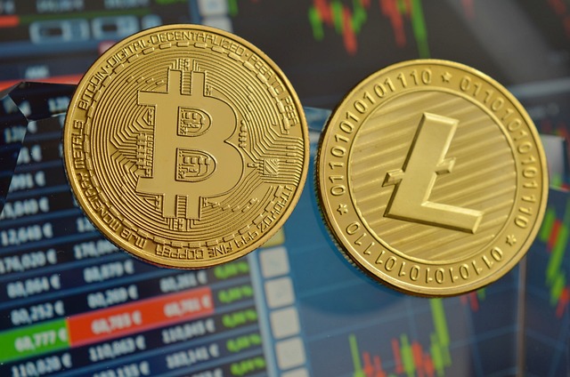 Dead Cat Bounce: Bedeutung und Verwendung im Kryptomarkt
