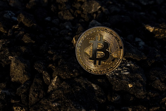 Die besten billigen Coins für 2024