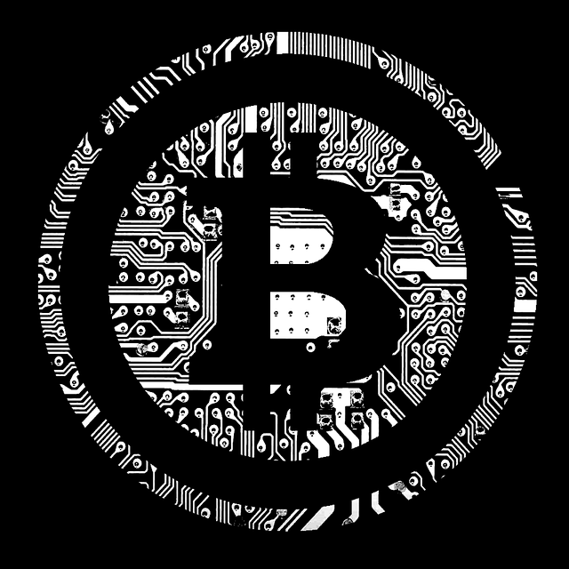Wie funktioniert Vortex Genesis AI? Ein Erfahrungsbericht
